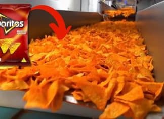 Doritos e marca de doce popular devem ganhar selo de ‘não recomendados para consumo humano’ – veja porquê