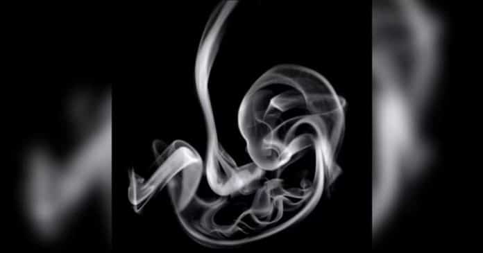 A 1ª coisa que você vê nesta silhueta revela se você tem “necessidade de aprovação” ou “não troca sua paz por nada”