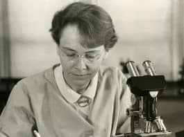 Figuras históricas que foram consideradas loucas, mas estavam certas o tempo todo