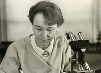 A história ignorou, riu e descartou… até descobrir que eles e elas estavam certos o tempo todo