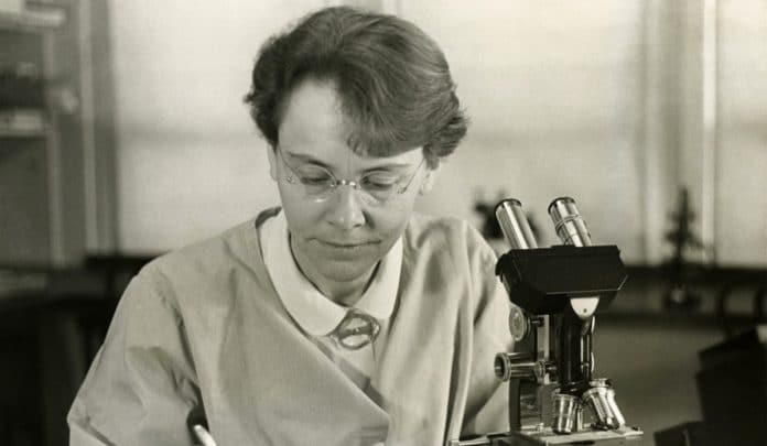 A história ignorou, riu e descartou… até descobrir que elas estavam certas o tempo todo