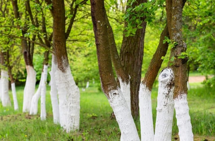 CONTI outra - Home contioutra.com - CONTI outra - Home