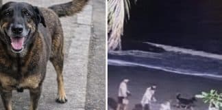 contioutra.com - CONTI outra - Home