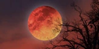 contioutra.com - CONTI outra - Home