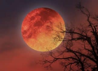 A Lua vai ficar vermelha em 3 de março, mas a chance de ver no Brasil não é igual para todos