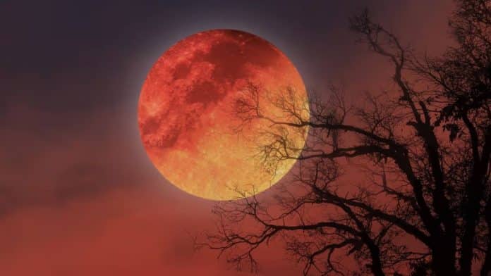 A Lua vai ficar vermelha em 3 de março, mas a chance de ver no Brasil não é igual para todos