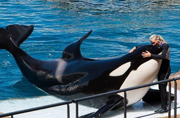 contioutra.com - CONTI outra - Home