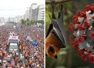 Vírus Nipah: Saiba os riscos de contaminação no Carnaval e se um surto pandêmico pode ocorrer no Brasil
