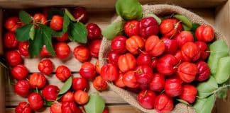 Previna-se contra AVC, infarto e trombose: 10 alimentos acessíveis excelentes para as veias e artérias