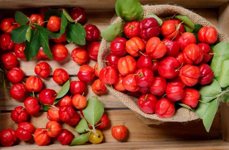 CONTI outra - Home contioutra.com - CONTI outra - Home