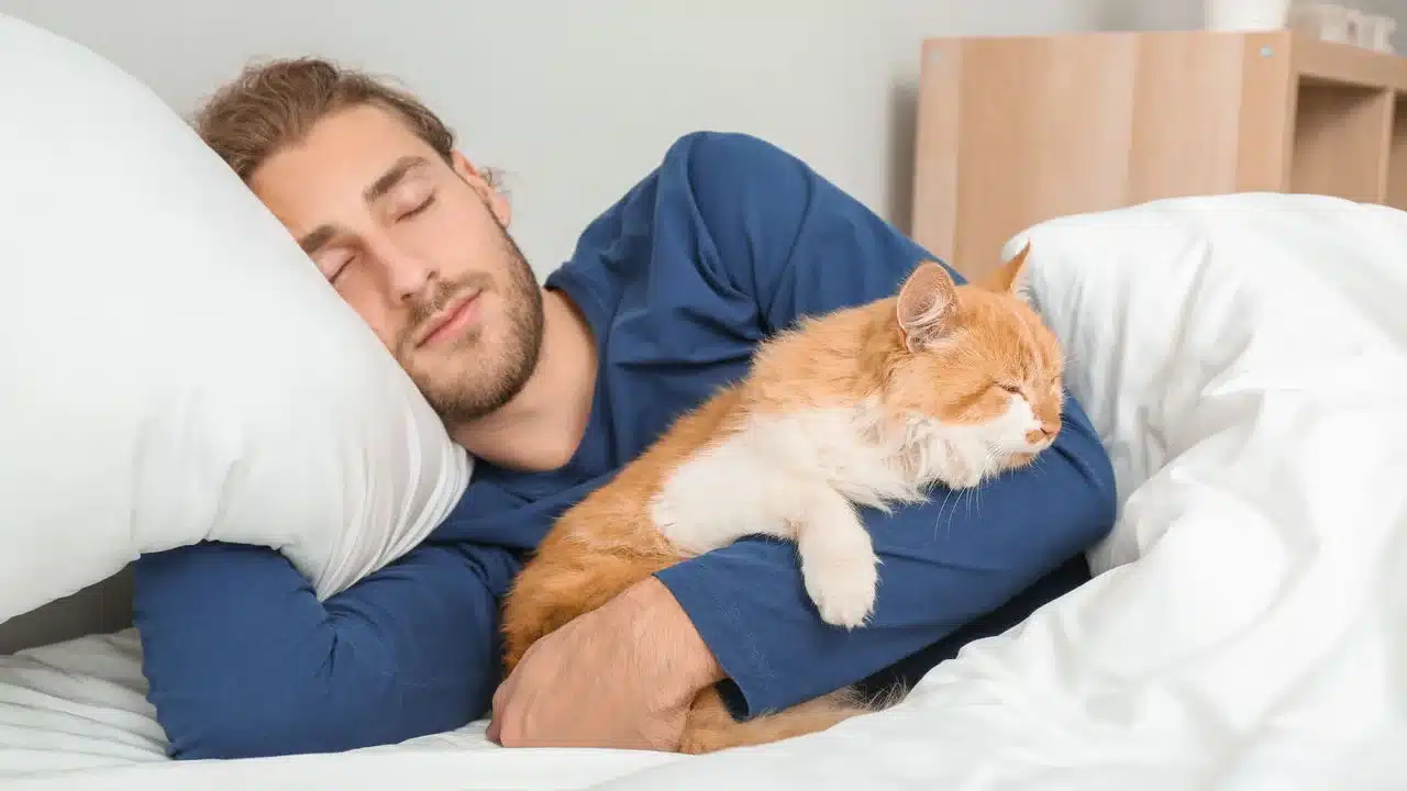 contioutra.com - Seu gato aparece na sua cama &agrave; noite? O comportamento pode ter um significado inesperado