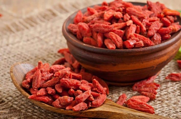 contioutra.com - CONTI outra - Home