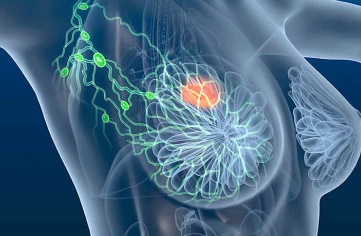 contioutra.com - CONTI outra - Home