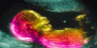 CONTI outra - Home contioutra.com - CONTI outra - Home