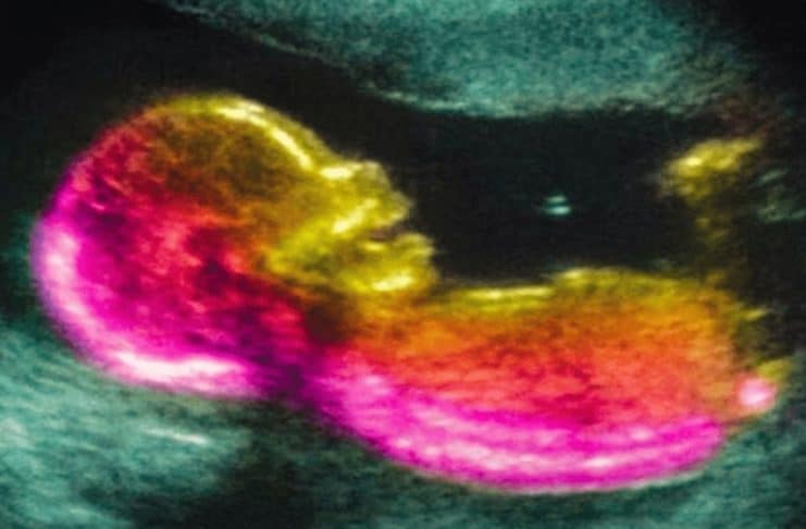 CONTI outra - Home contioutra.com - CONTI outra - Home