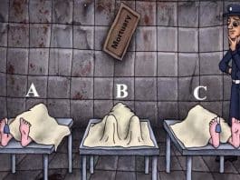 Enigma visual te desafia a descobrir qual dos três está vivo