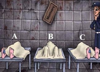 Enigma visual te desafia a descobrir qual dos três está vivo