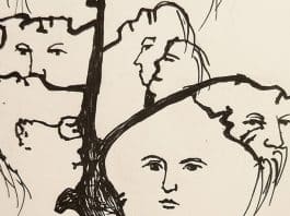 Este desafio visual vai te surpreender