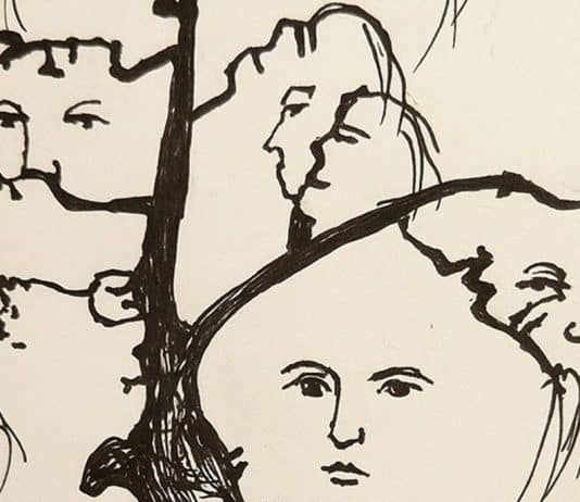 Este desafio visual vai te surpreender