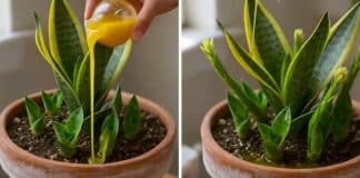 contioutra.com - CONTI outra - Home