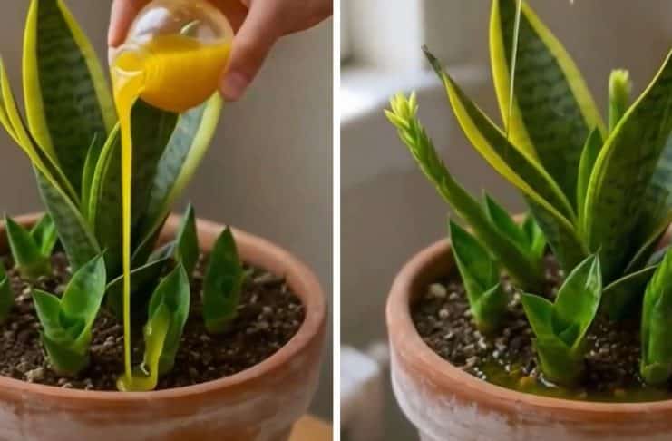 CONTI outra - Home contioutra.com - CONTI outra - Home