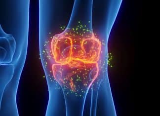 Nova injeção faz cartilagem do joelho voltar a crescer em meses e pode mudar o tratamento da artrite