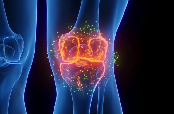 contioutra.com - CONTI outra - Home