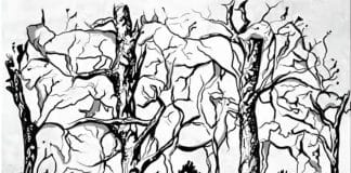 O 1º animal que você vê nesta silhueta revelará algo incrível sobre a sua personalidade