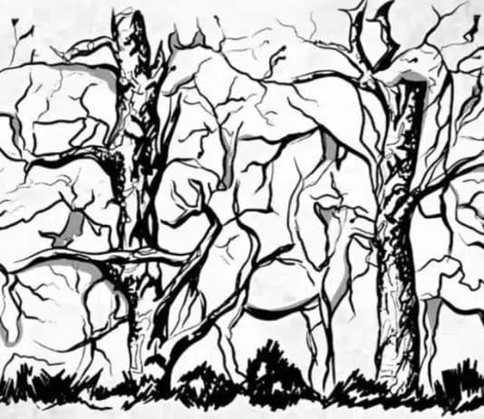 O primeiro animal que você vê nesta silhueta revelará algo incrível sobre a sua personalidade