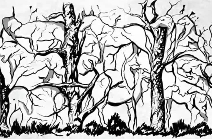 contioutra.com - CONTI outra - Home