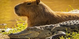 contioutra.com - CONTI outra - Home