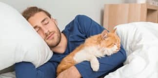 Seu gato aparece na sua cama à noite? O comportamento pode ter um significado inesperado