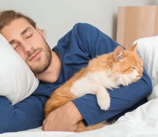 Seu gato aparece na sua cama à noite? O comportamento pode ter um significado inesperado Se o seu gato escolher dormir na sua cama, a razão pode surpreender