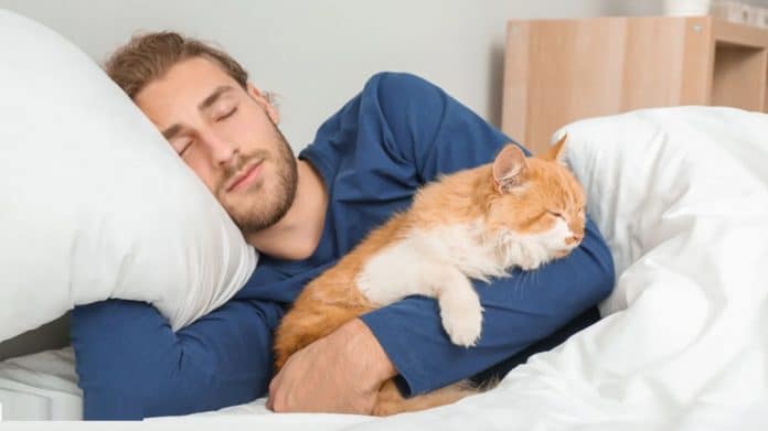 Se o seu gato escolher dormir na sua cama, a razão pode surpreender Seu gato aparece na sua cama à noite? O comportamento pode ter um significado inesperado