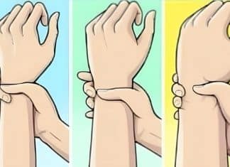Você pode estar entendendo seu corpo errado — veja se você é ectomorfo, mesomorfo ou endomorfo