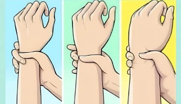 Você pode estar entendendo seu corpo errado — veja se você é ectomorfo, mesomorfo ou endomorfo