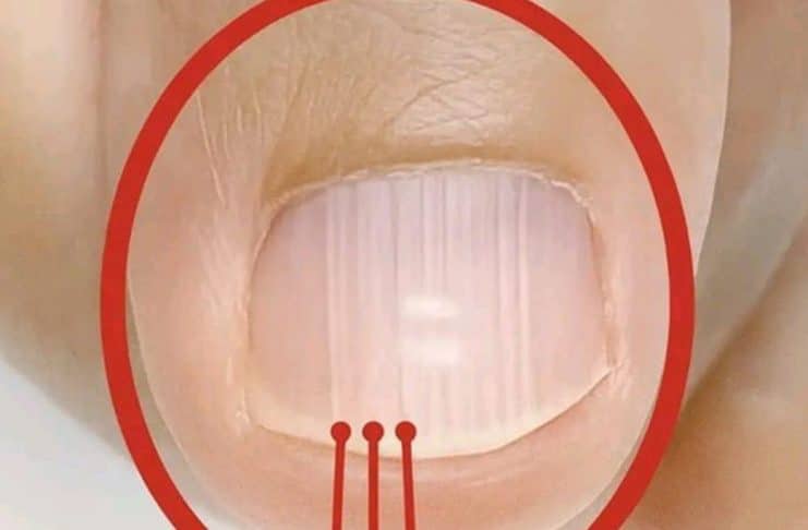 contioutra.com - CONTI outra - Home