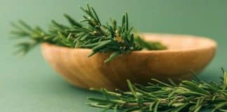 A planta apelidada de ‘morfina natural’ alivia dores musculares, nas articulações, reumatismo e até gota