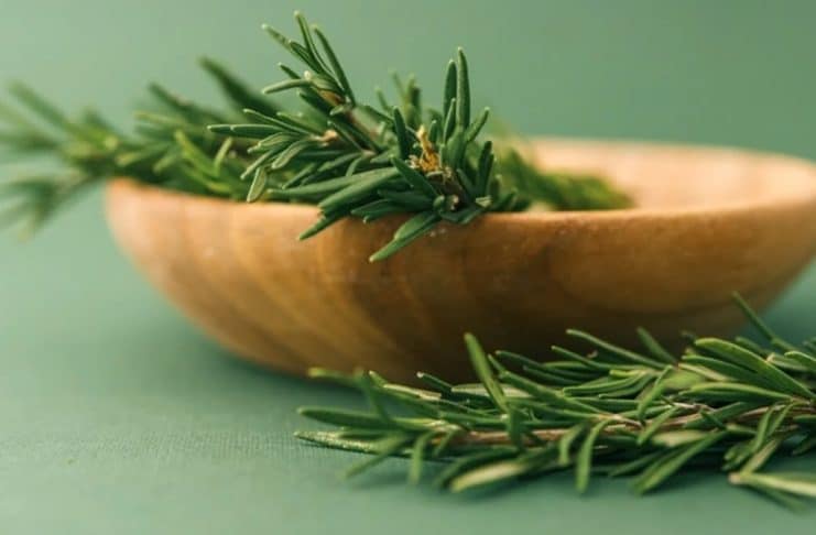 contioutra.com - CONTI outra - Home