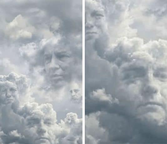 número de rostos que você vê teste