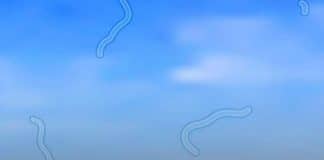 CONTI outra - Home contioutra.com - CONTI outra - Home