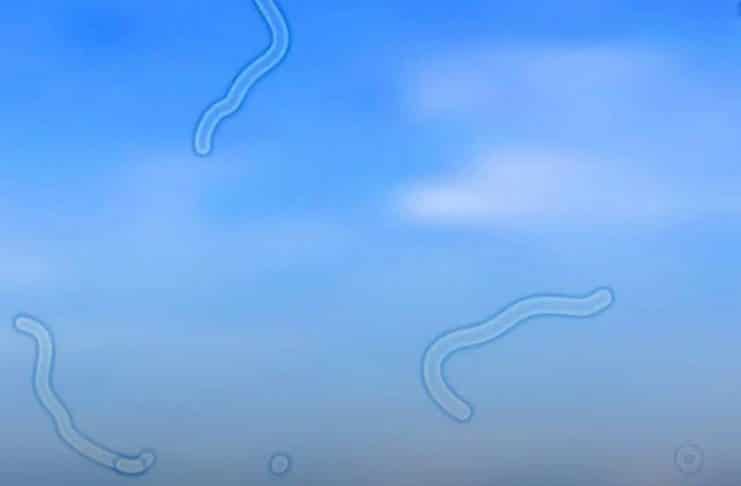 contioutra.com - CONTI outra - Home