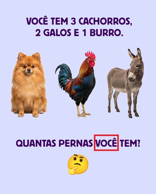 contioutra.com - Teste sua intelig&ecirc;ncia: Voc&ecirc; tem 3 cachorros, 2 galos e 1 burro. Quantas pernas voc&ecirc; tem?
