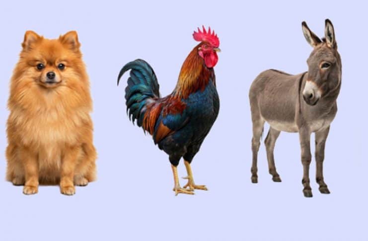 contioutra.com - CONTI outra - Home