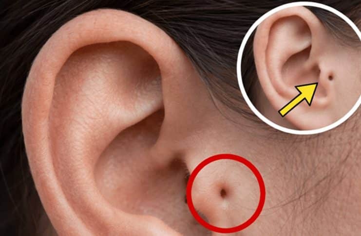 CONTI outra - Home contioutra.com - CONTI outra - Home