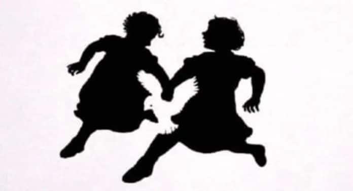 Não olhe duas vezes! O primeiro objeto que você enxergar aqui revela se a sua mente é lógica ou emocional