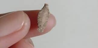 CONTI outra - Home contioutra.com - CONTI outra - Home