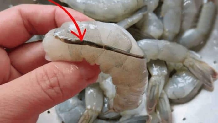 Se você já comeu camarão com a veia preta sem tirar, precisa saber o que aconteceu dentro do seu corpo