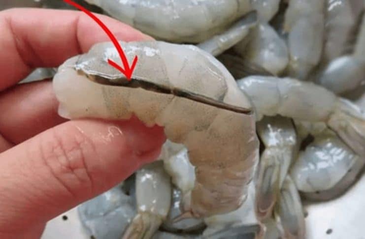 CONTI outra - Home contioutra.com - CONTI outra - Home