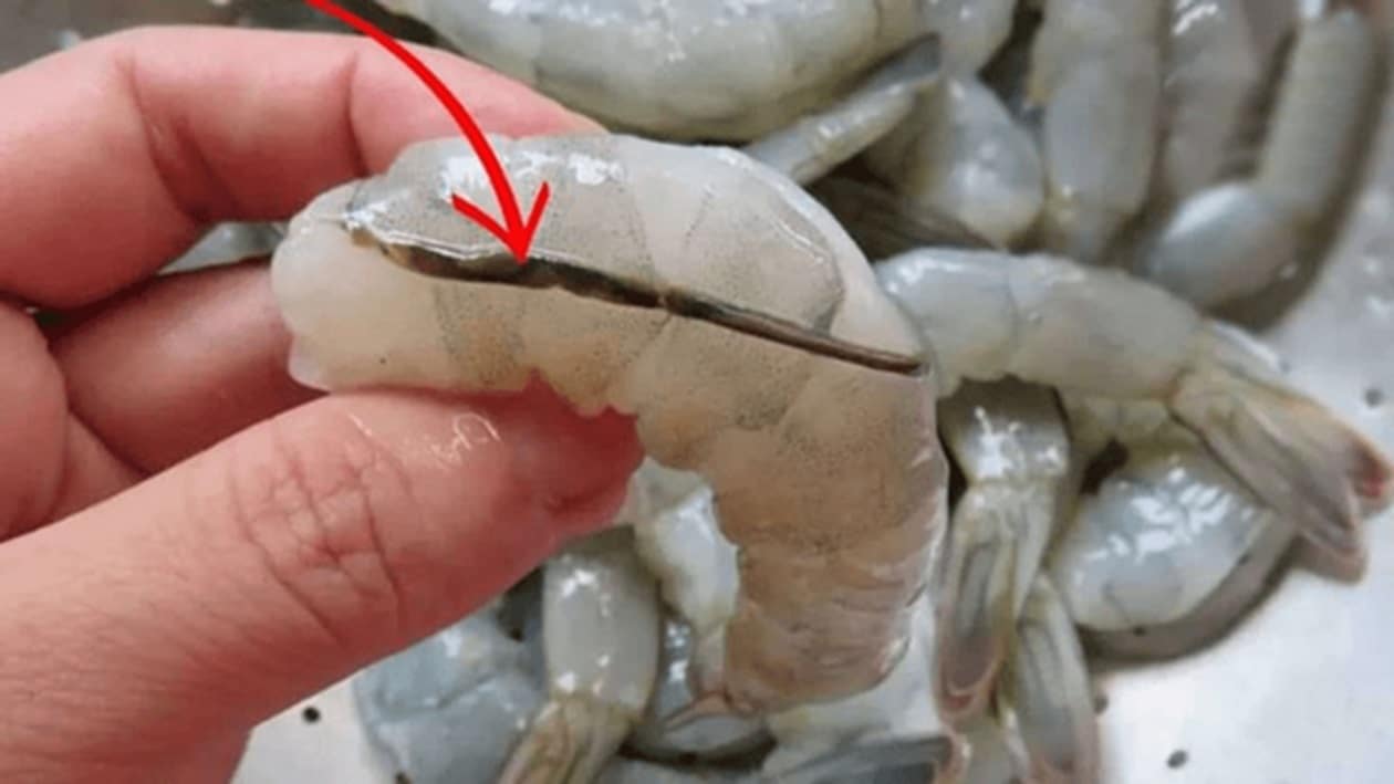 contioutra.com - Se voc&ecirc; j&aacute; comeu camar&atilde;o com a veia preta sem tirar, precisa saber o que aconteceu dentro do seu corpo